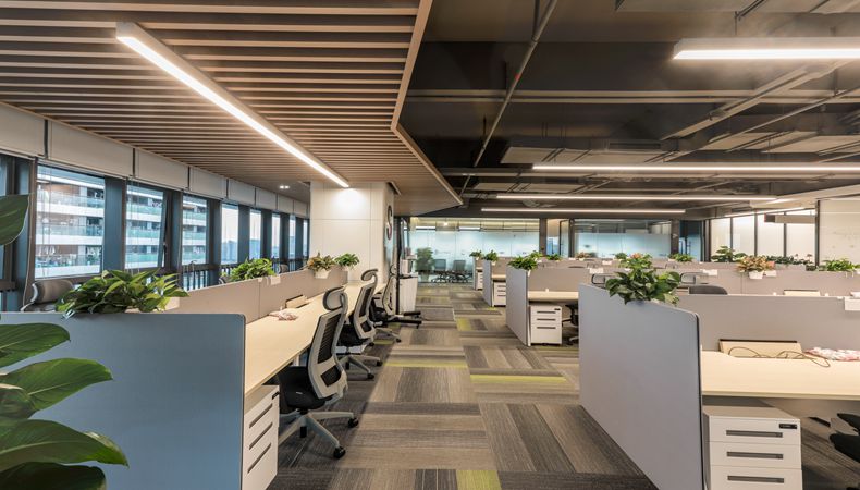 ��˹ά��˹9888(�й���)���޹�˾����