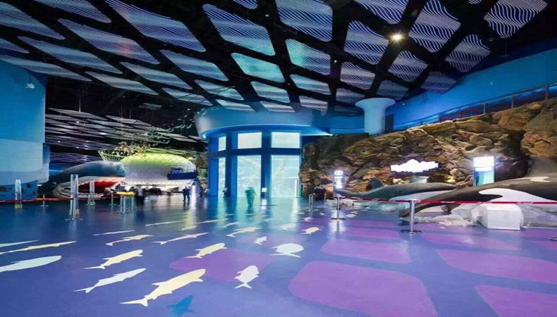 ��˹ά��˹9888(�й���)���޹�˾����